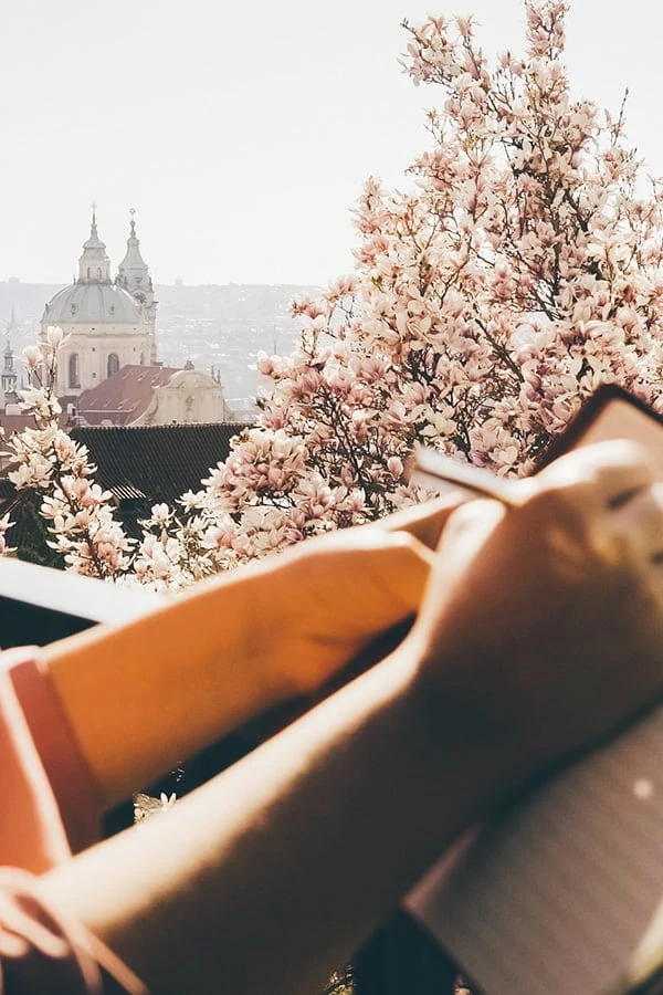 How to decide what you want for your life, prepare for it, and ensure it happens.