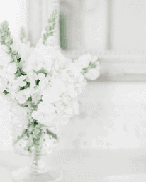 white flowers kindness concept
