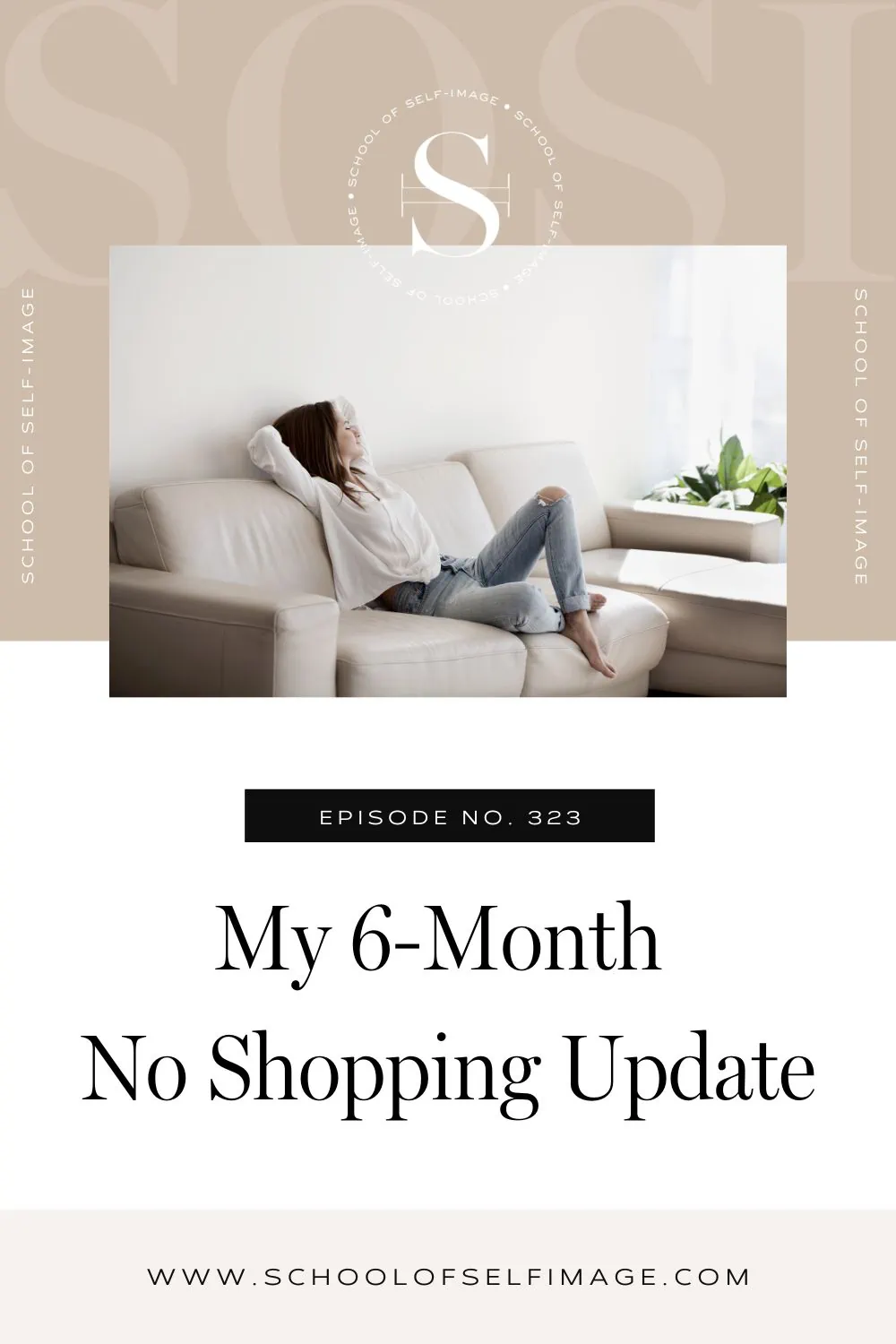 My 6-month No Shopping Update
